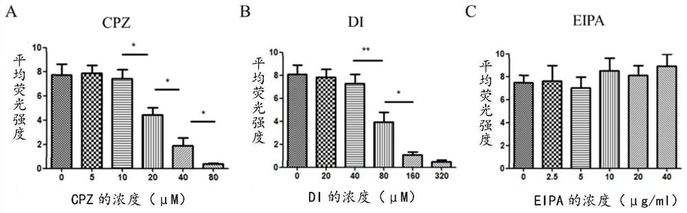 Polypeptide specifically bound with CD3 and application of polypeptide