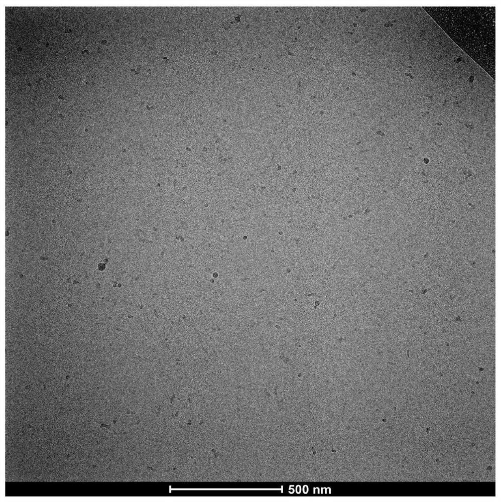 Precise block polymer nanoassembly and preparation method thereof