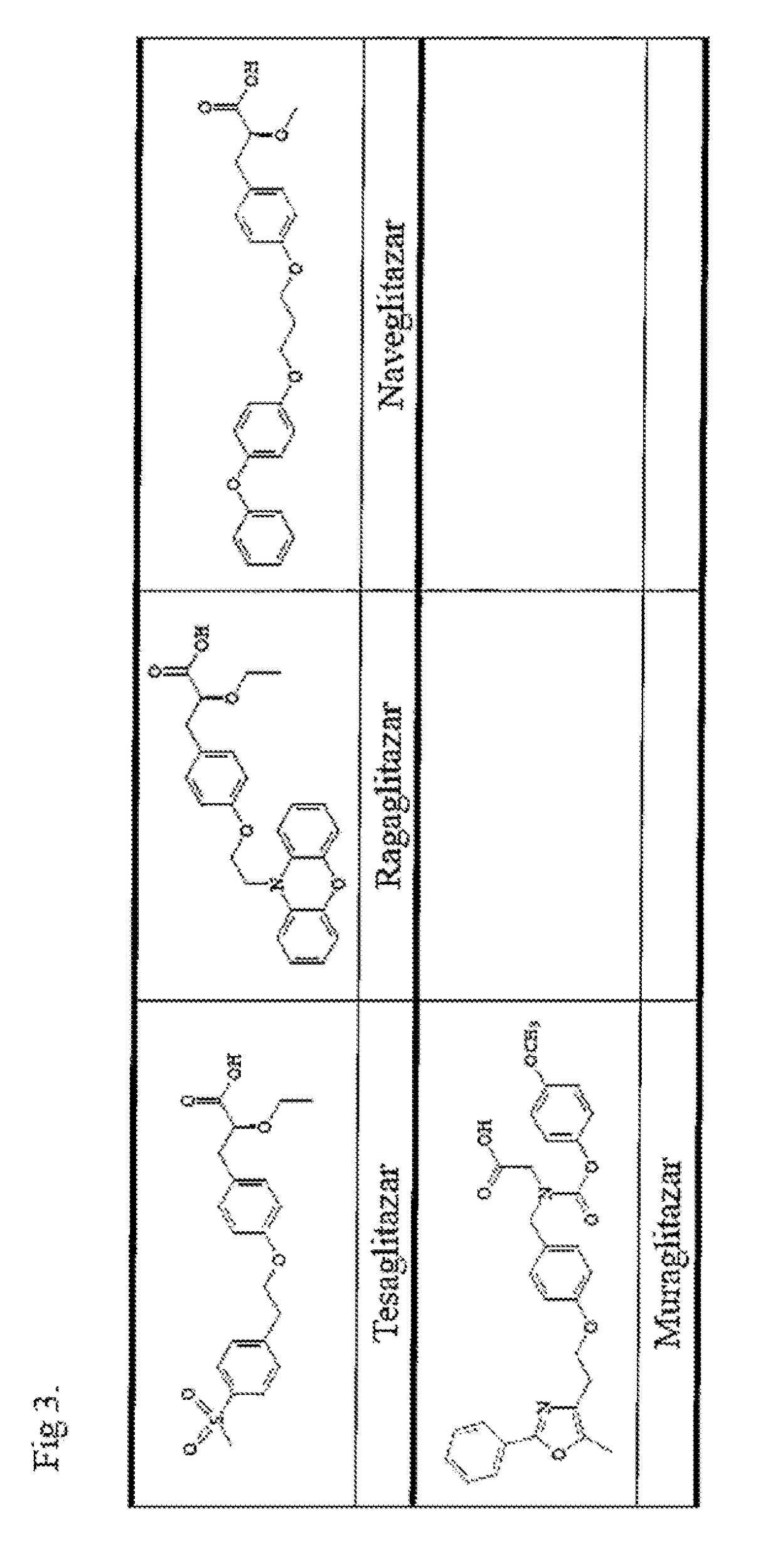 COMPOUNDS FOR ENHANCING PPARy EXPRESSION AND NUCLEAR TRANSLOCATION AND THERAPEUTIC USE THEREOF