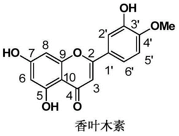 Method for extracting and separating diosmetin from water chestnut peel