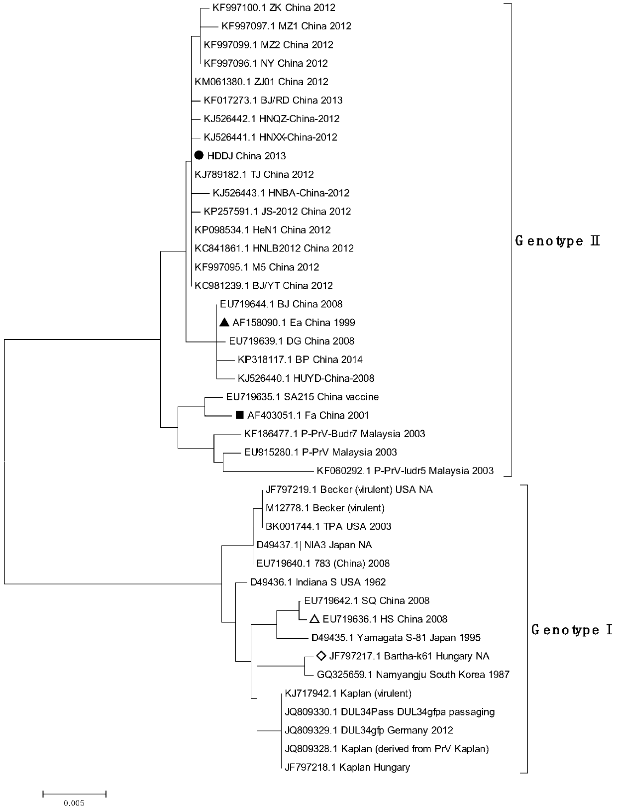 A two-color fluorescent detection method, primers and probes for rapidly distinguishing prv Chinese type, European and American type and vaccine strains