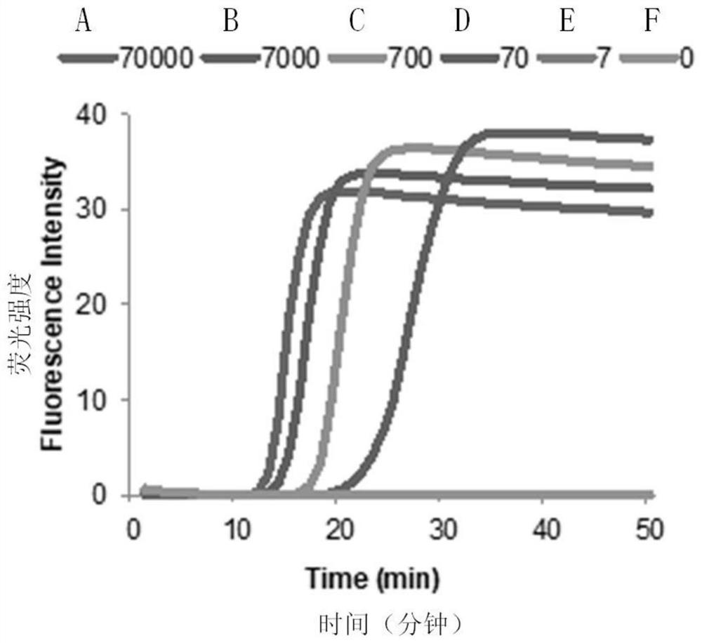 Novel coronavirus rapid PCR detection primer group, detection device and application thereof