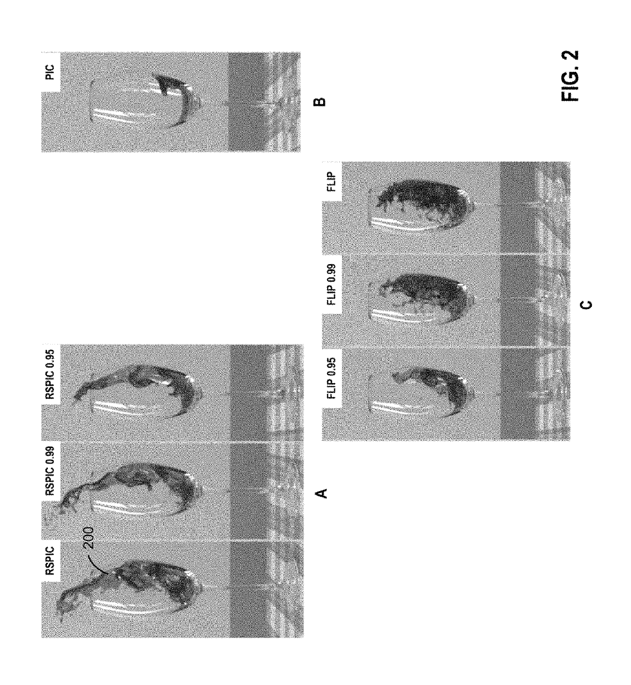 Particle-in-cell methods preserving shearing and rotation