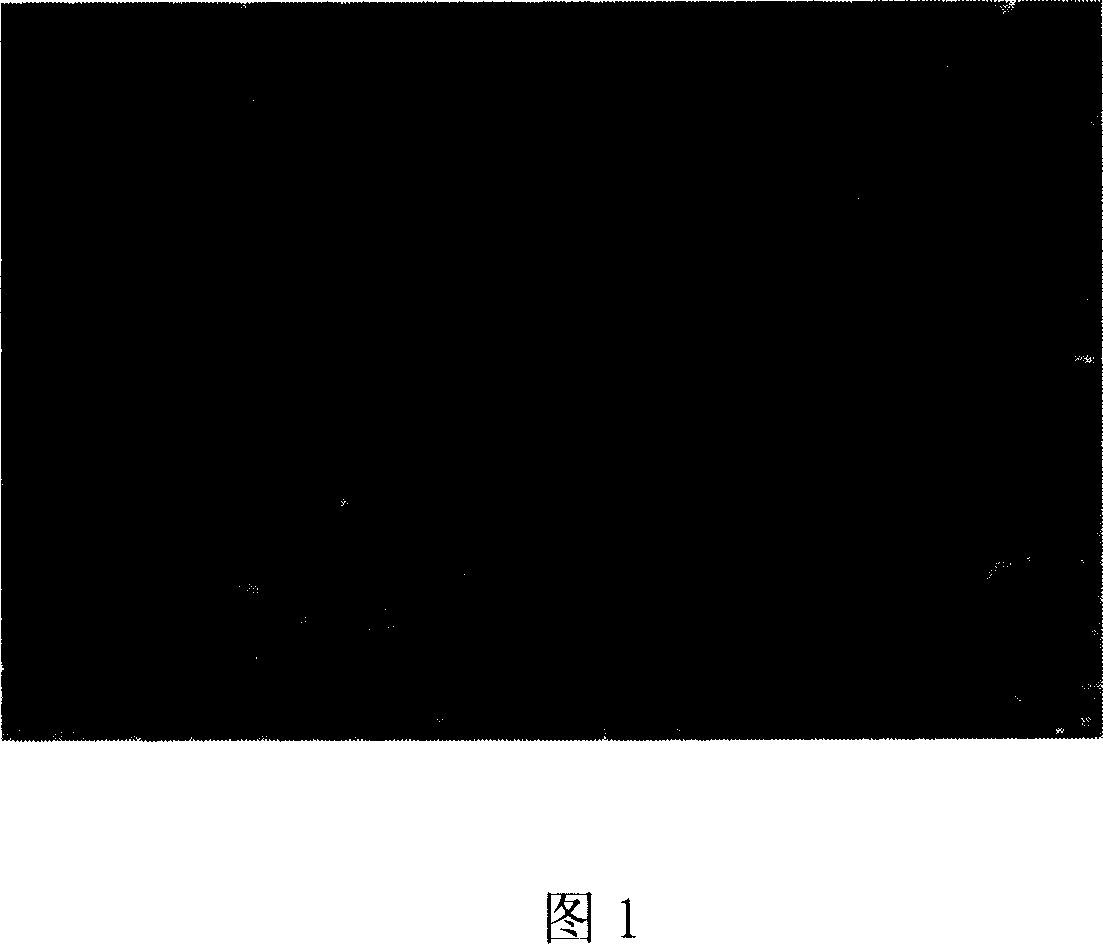 Electromagnetic shielding material of coverage compound carbon base and its making method and purpose