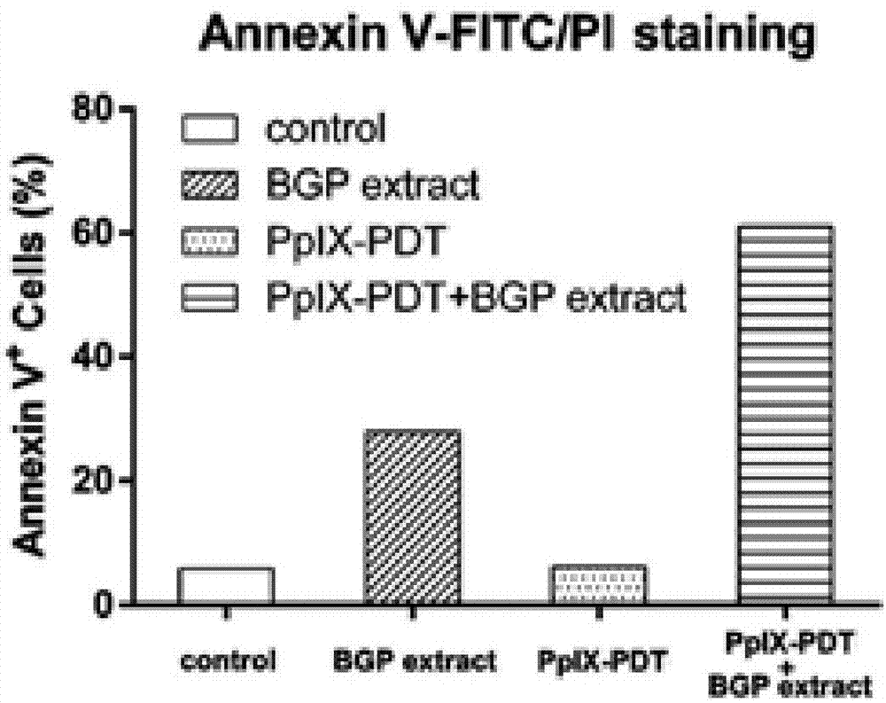 Application of Brazil green propolis in preparation of PDT antitumor synergistic drugs