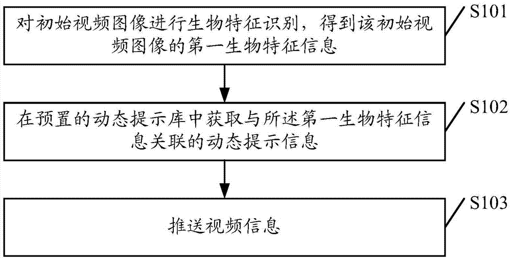 Video image processing method and device