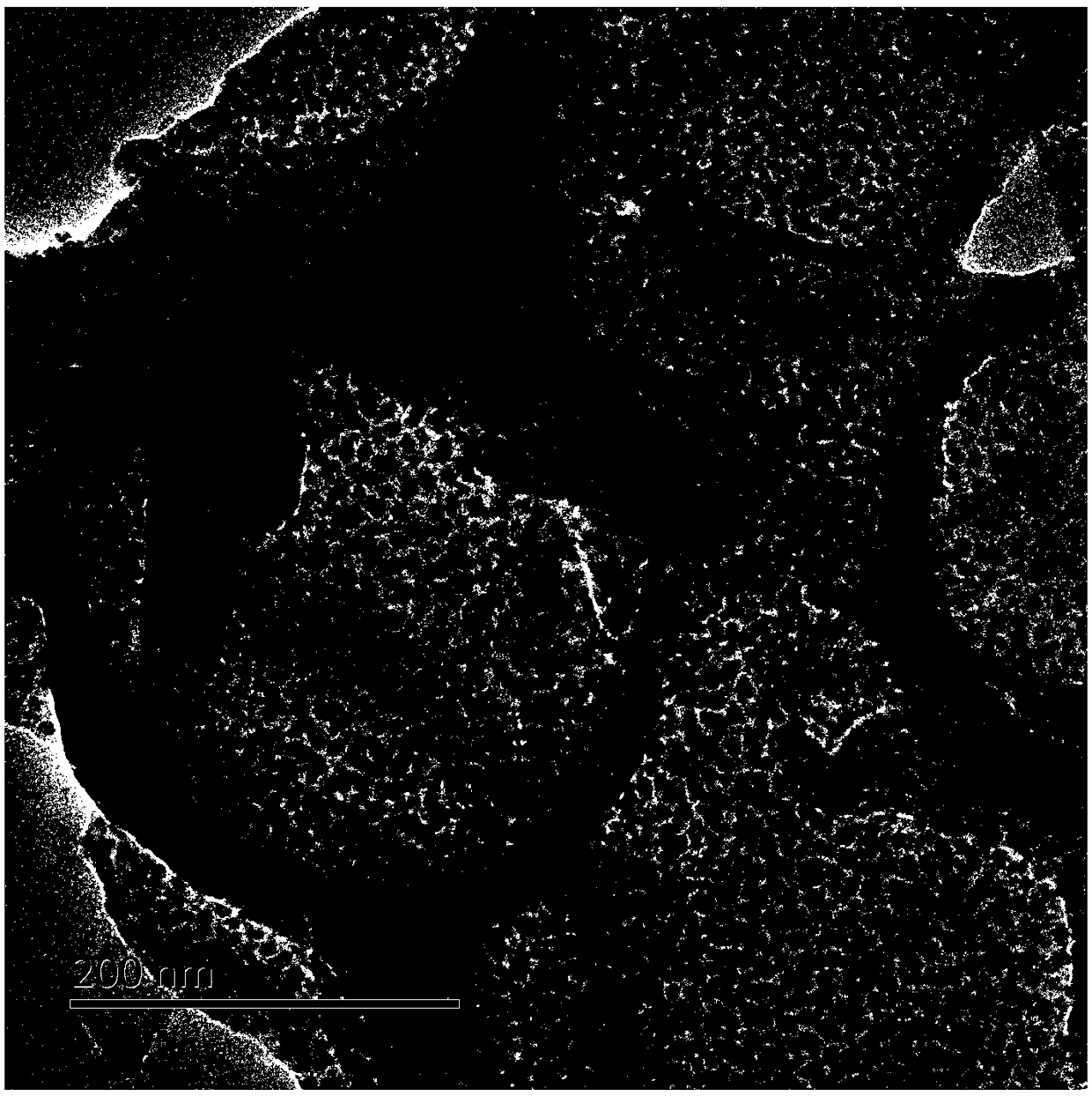 Nitrogen-doped porous carbon nanosheet-supported non-noble metal catalyst and preparation method thereof