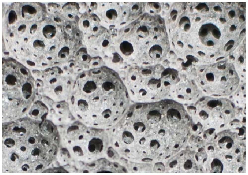 A kind of geopolymer open-cell foam material and its preparation method and application