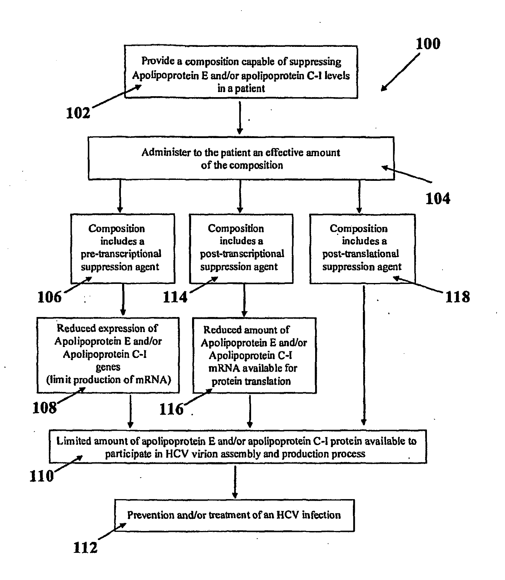 Compositions and Methods for Controlling Hepatitis C Virus Infection