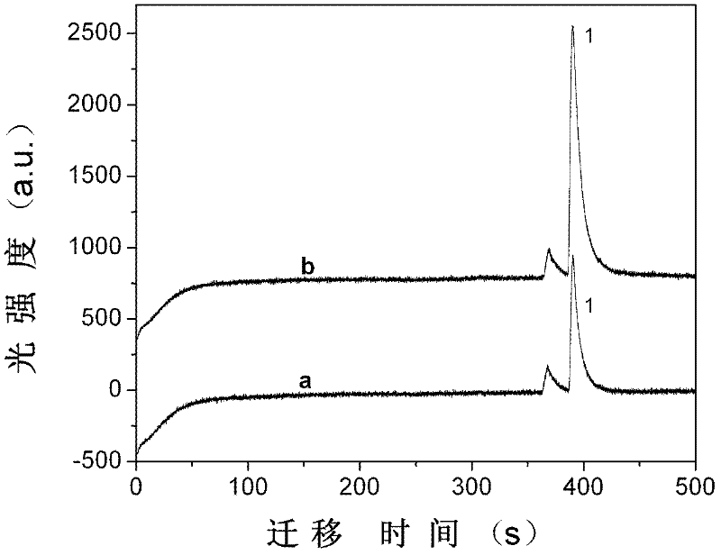 Capillary electrophoresis electrochemiluminescence detection method for arecoline in traditional Chinese medicine betelnut extract