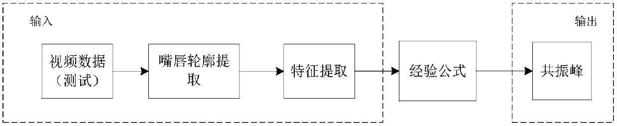 Voice synthesis method based on voice radar and video