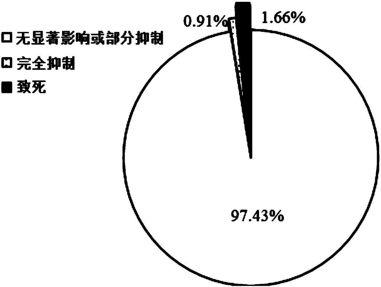 Method and special seed fungicide for preventing and controlling bacterial fruit blotch of melons