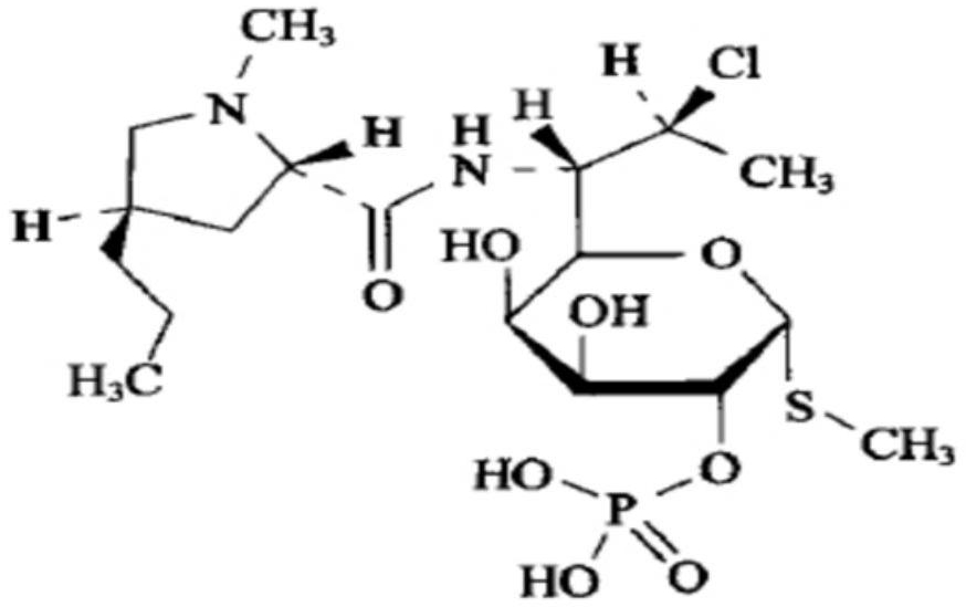 A kind of clindamycin phosphate preparation and preparation method thereof