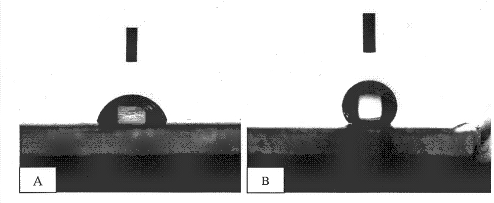 Preparation method of modified polyether sulfuryl hydrophobic film for gas-liquid film contactor