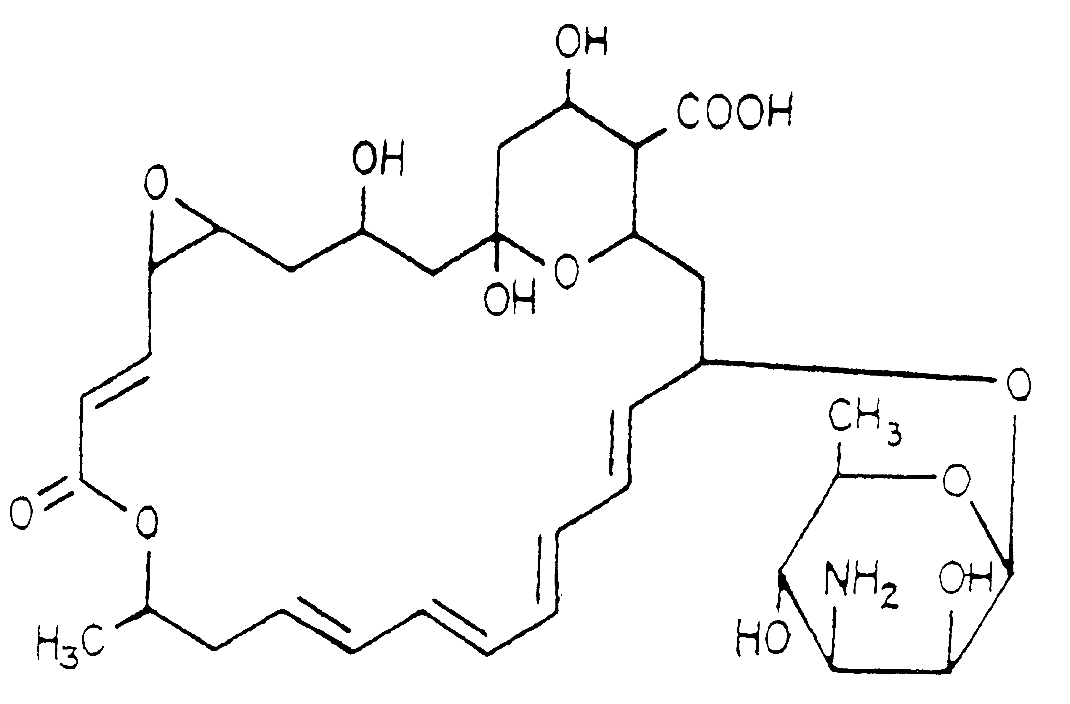 Topical formulations of natamycin/pimaricin