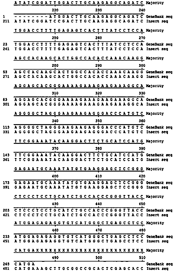 Polypeptides with anticoagulant activity screened by phage display technology