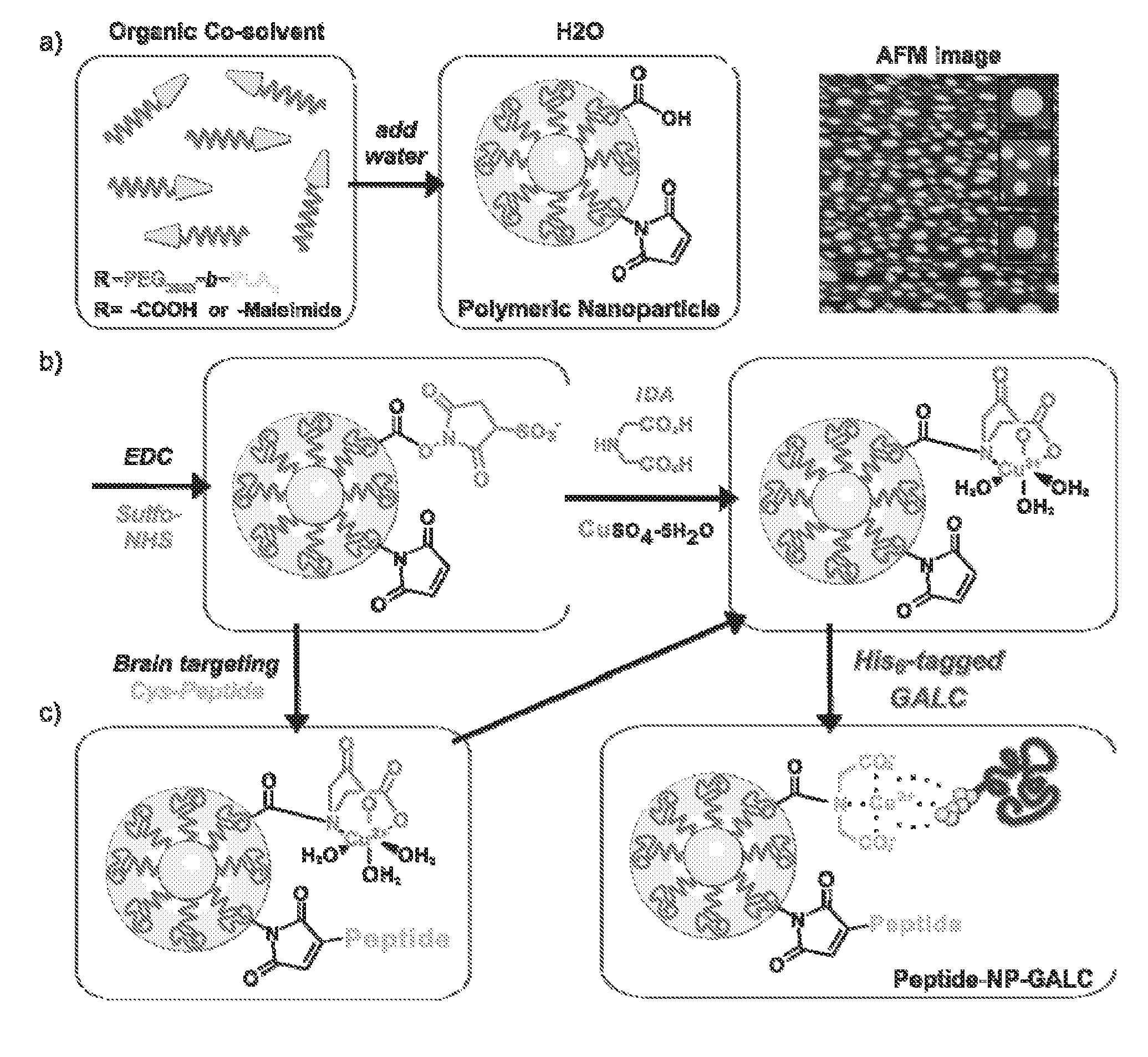 Methods and materials for delivering molecules