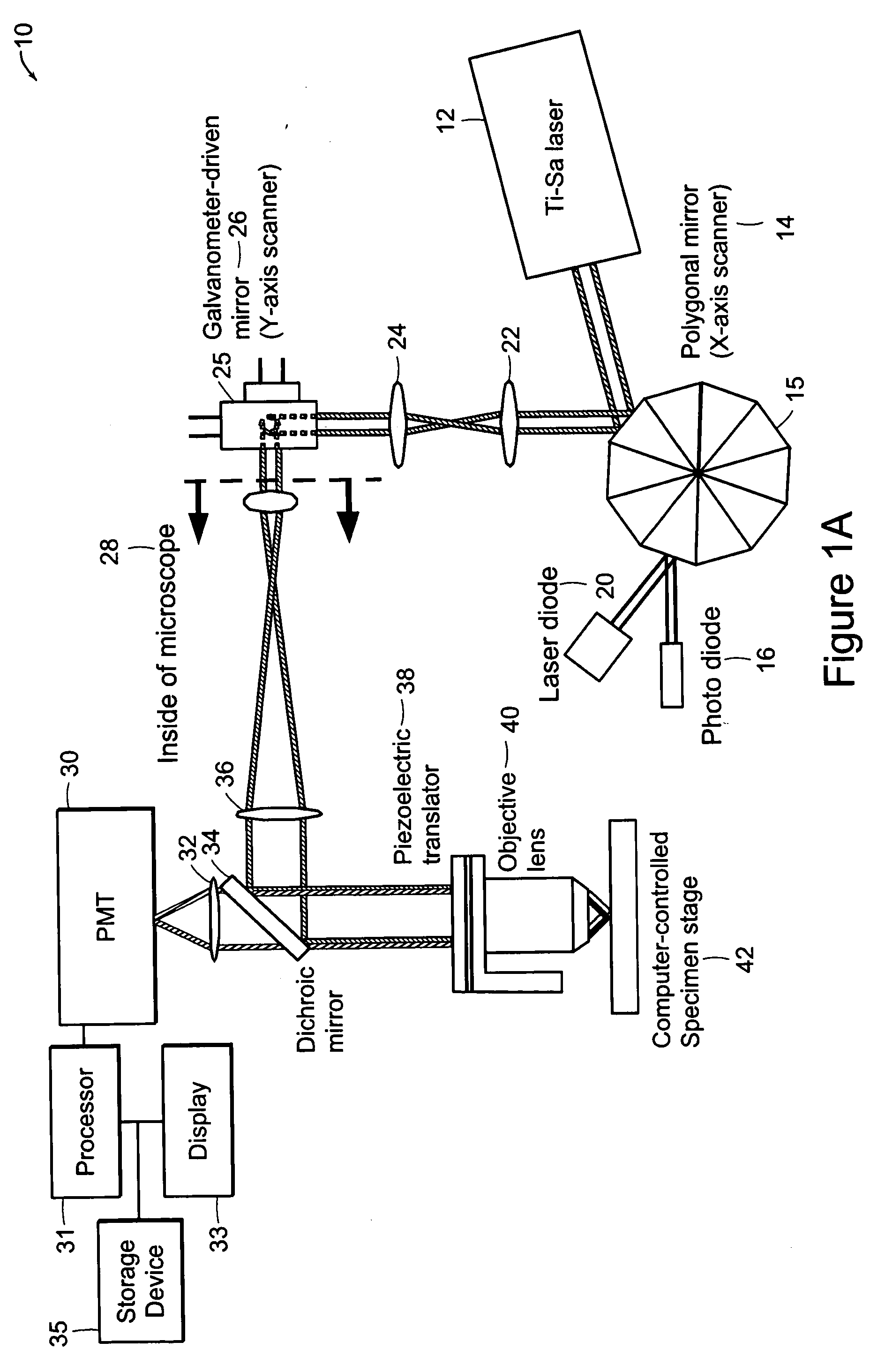 Systems and methods for volumetric tissue scanning microscopy