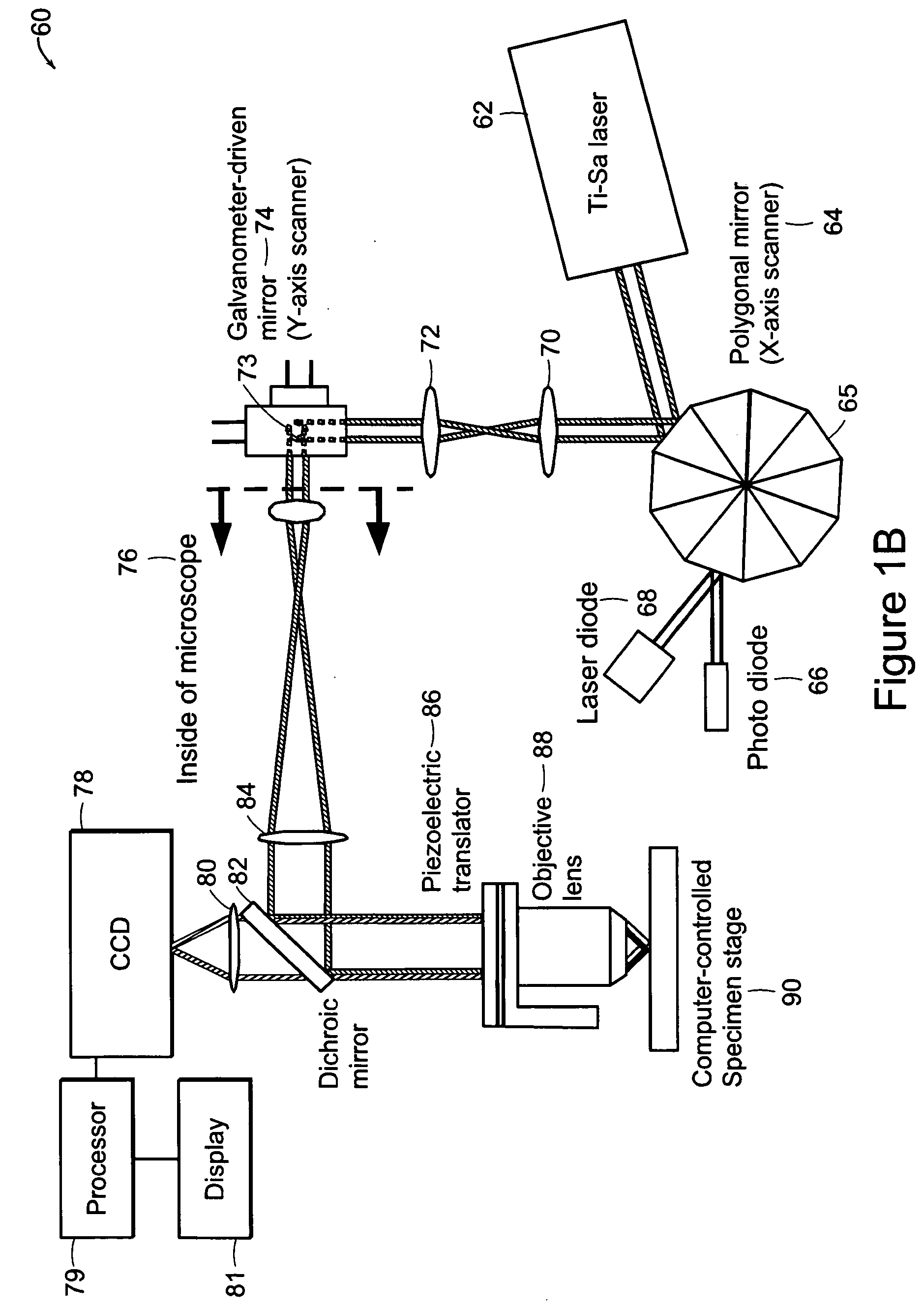 Systems and methods for volumetric tissue scanning microscopy