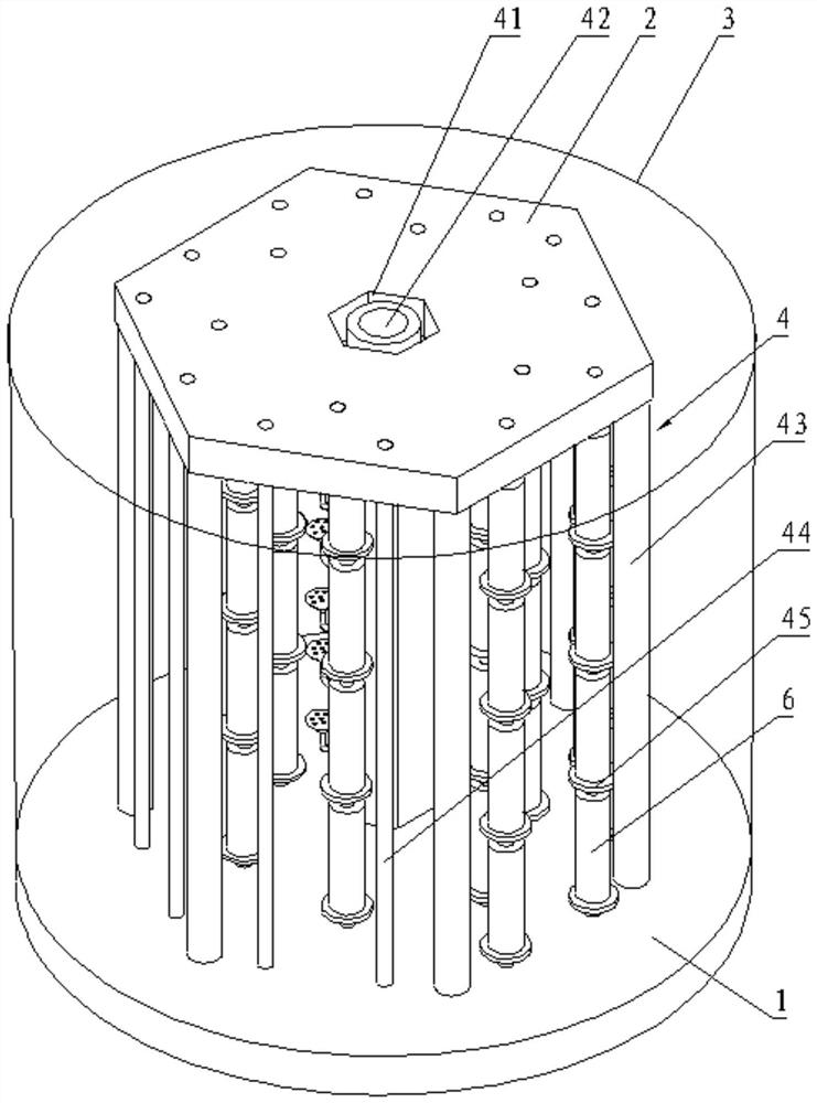 Cultivation method of jade fungus under forest