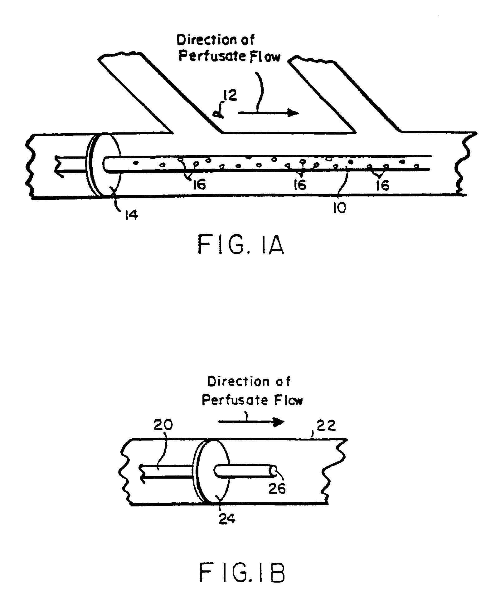 Gene delivery compositions and methods