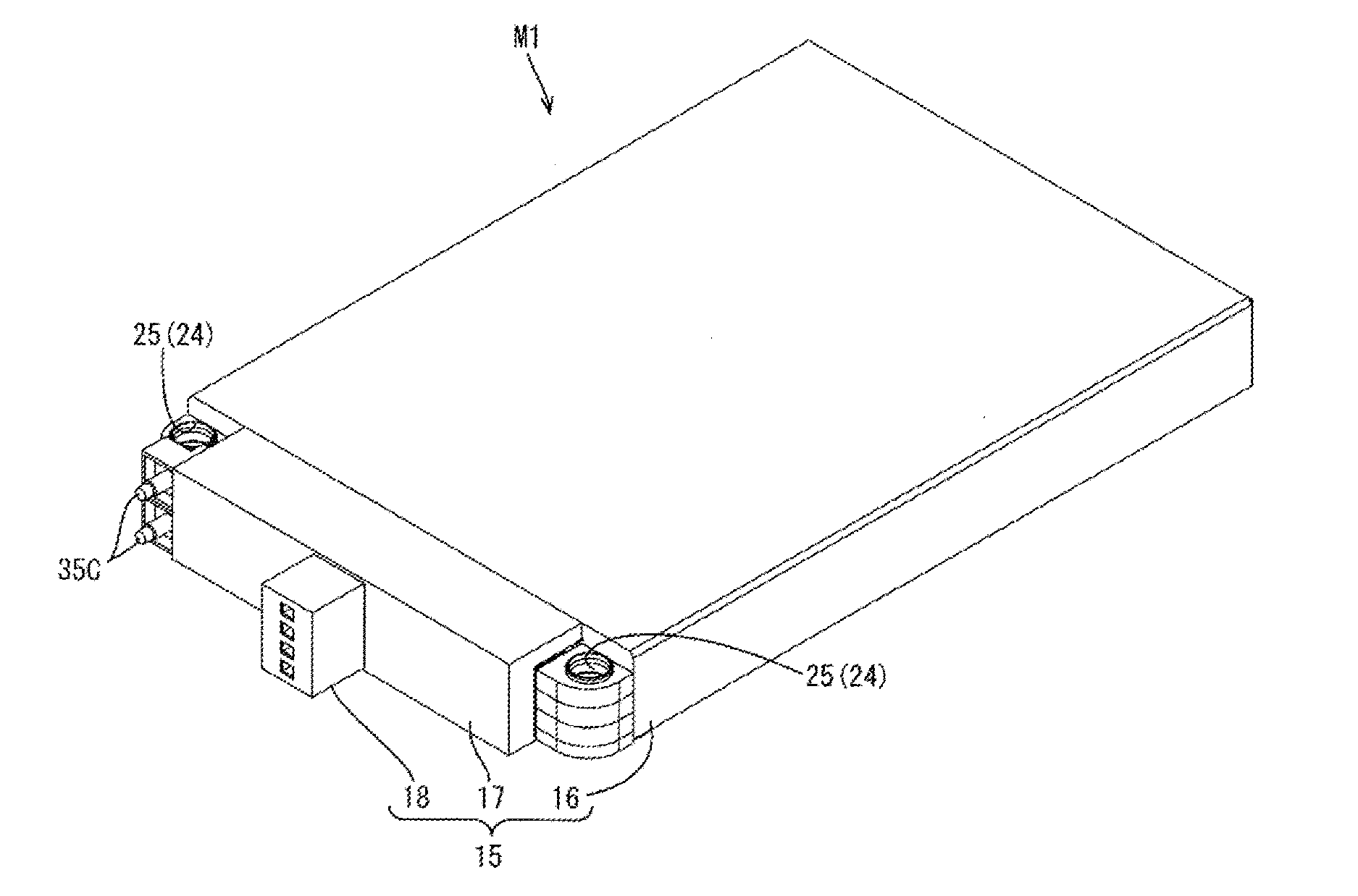 Electricity storage module