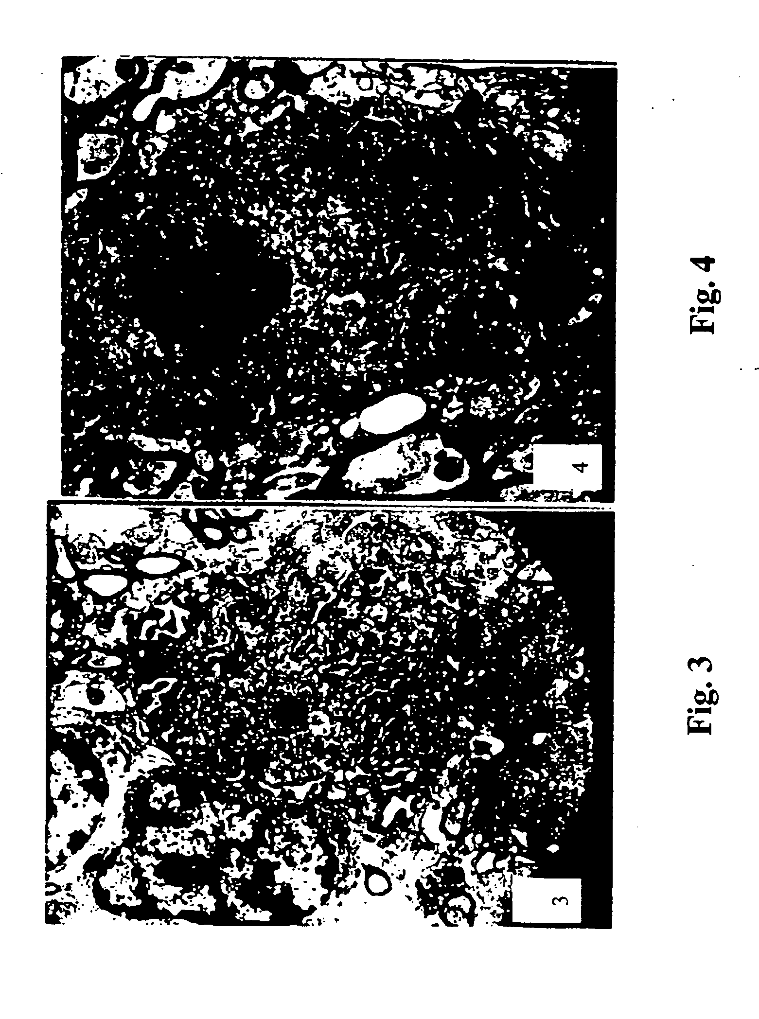 Sporoderm-broken germination-activated ganoderma lucidum spores for protection of dopaminergic neurons and treatment of Parkinson's disease