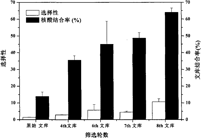 DNA (Desoxyribonucleic Acid) ligand for specific binding with EPO (erythropoietin), preparation method thereof and application thereof