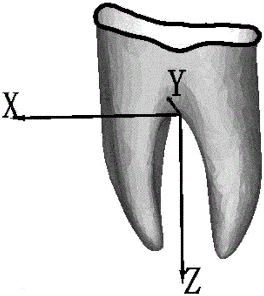 Method for reconstructing tooth root of patient