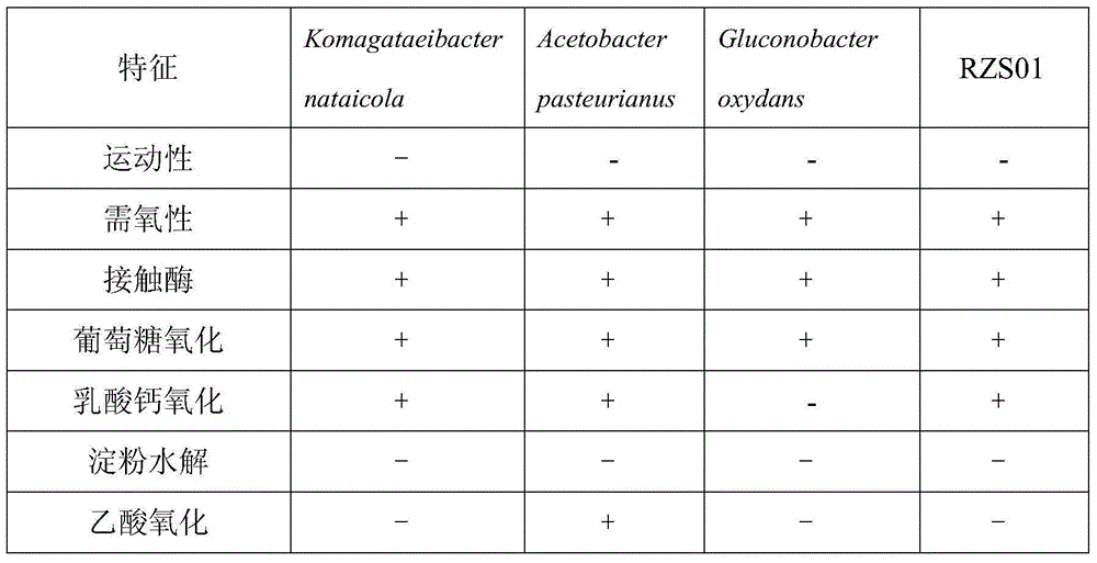 Komagataeibacter nataicola and application thereof