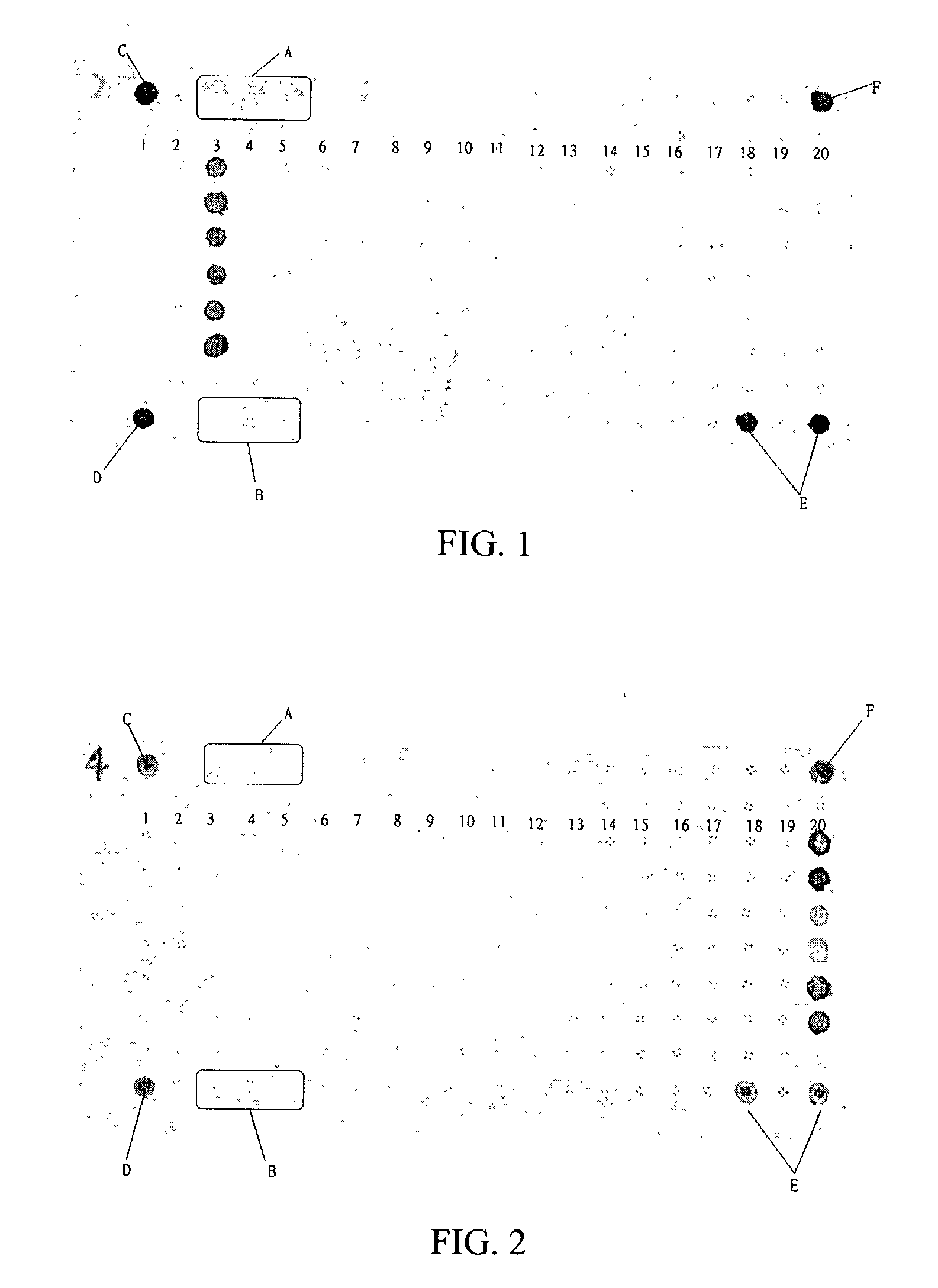 Nucleic acid kit for bacterial pathogen diagnosis and method for using the same