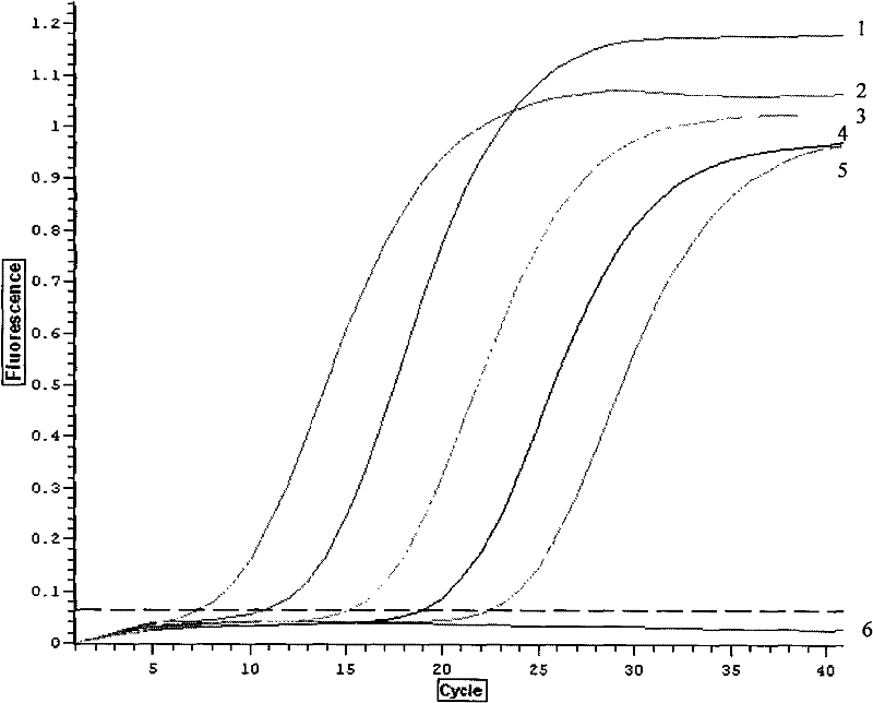 Enterovirus 71-detecting fluorescent quantitative RT-PCR kit