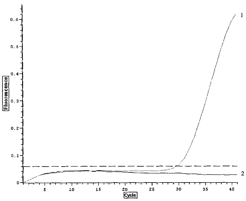 Enterovirus 71-detecting fluorescent quantitative RT-PCR kit