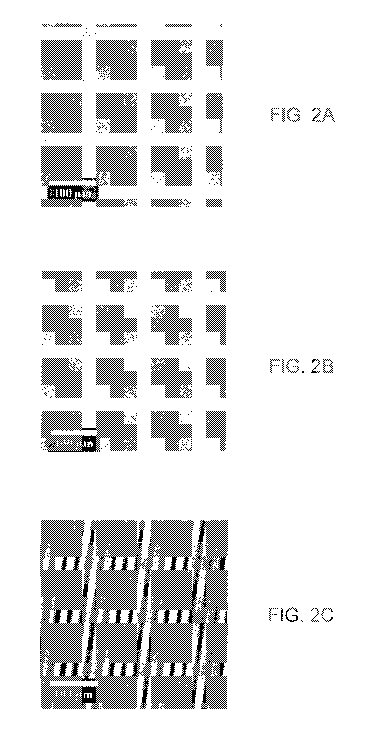 Method for creating topographical patterns in polymers via surface energy patterned films and the marangoni effect