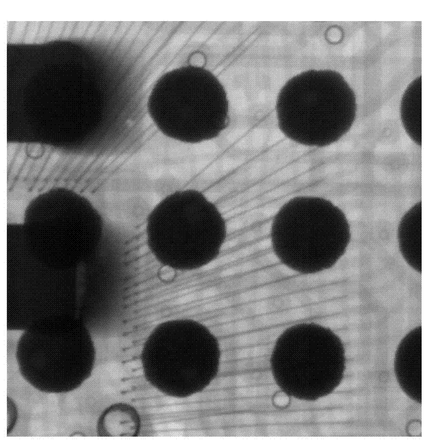 X-ray image multi-scale detail enhancement method in integrated circuit packaging