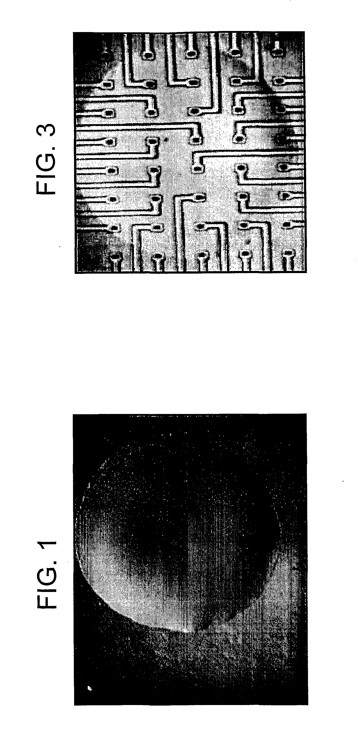 Method of Producing Organotypic Cell Cultures