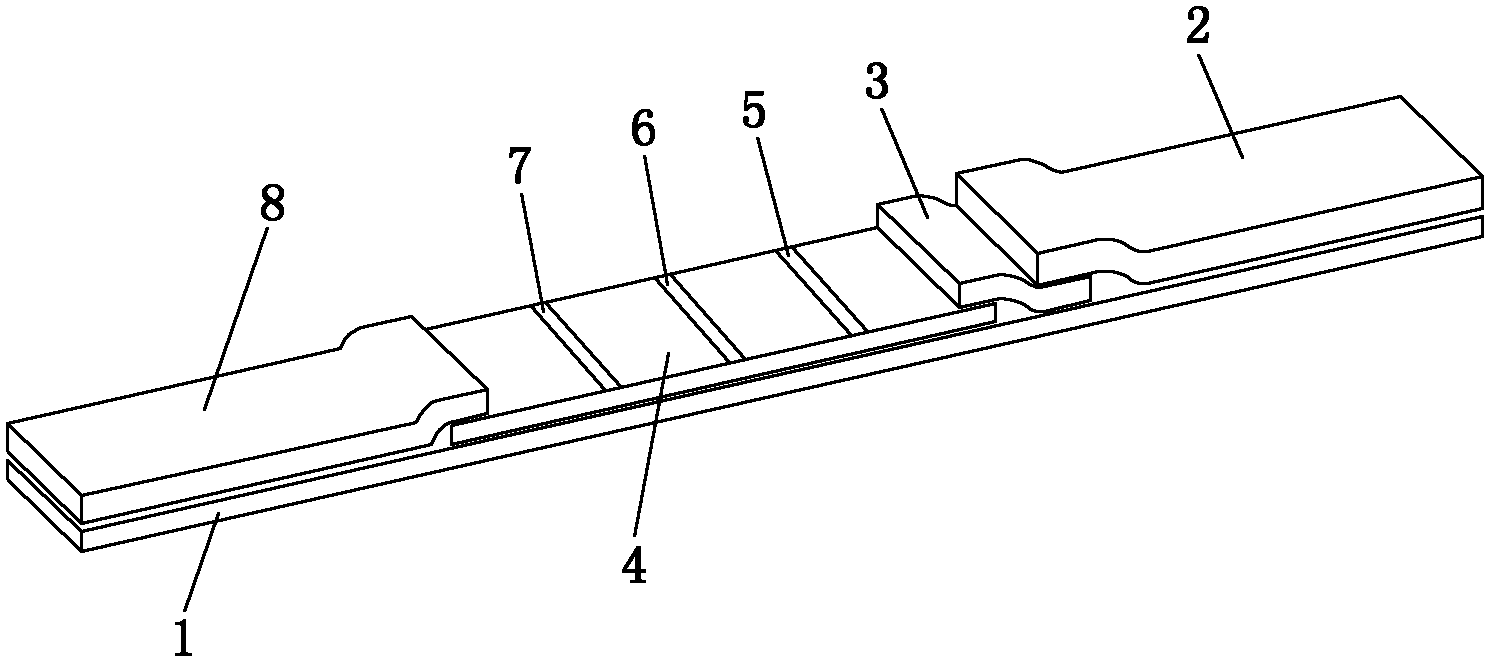 Reagent strip for carrying out joint detection on Toxoplasma gondii IgM (immunoglobulin M) and IgG (immunoglobulin G) antibodies and preparation method thereof