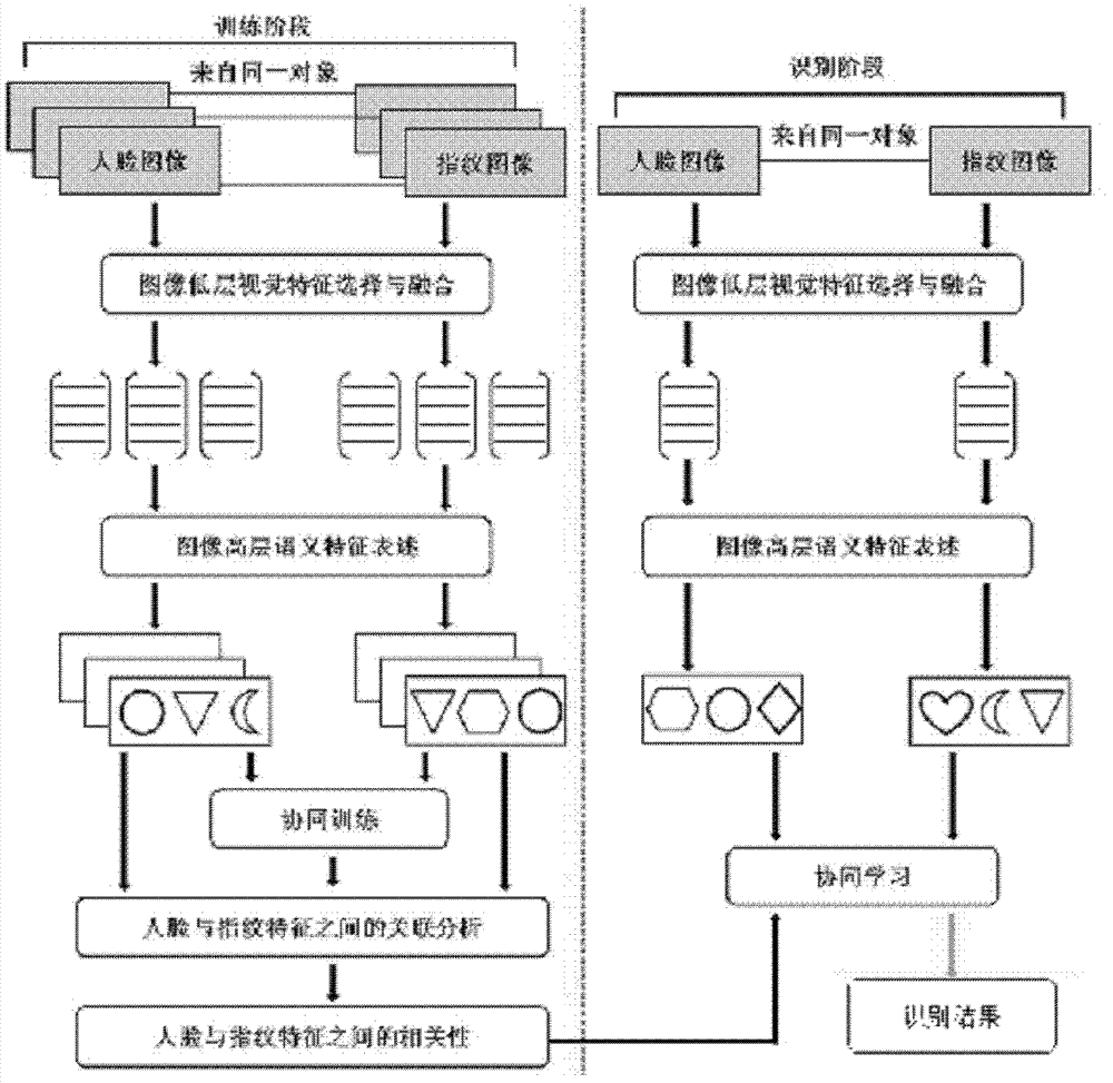 Identity recognition method based on face-fingerprint cooperation