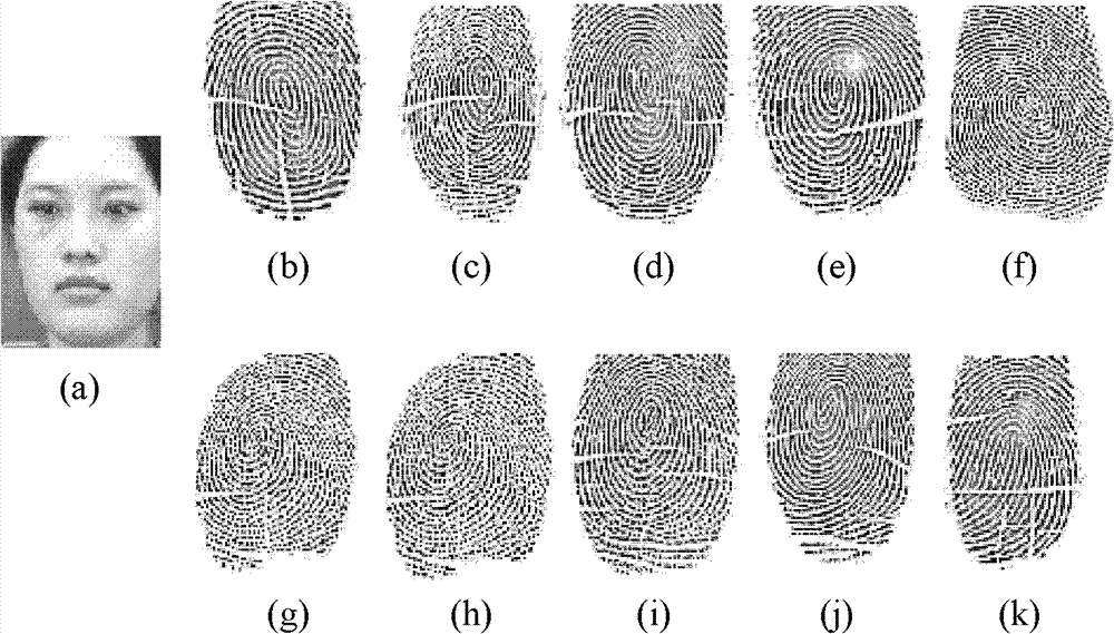 Identity recognition method based on face-fingerprint cooperation