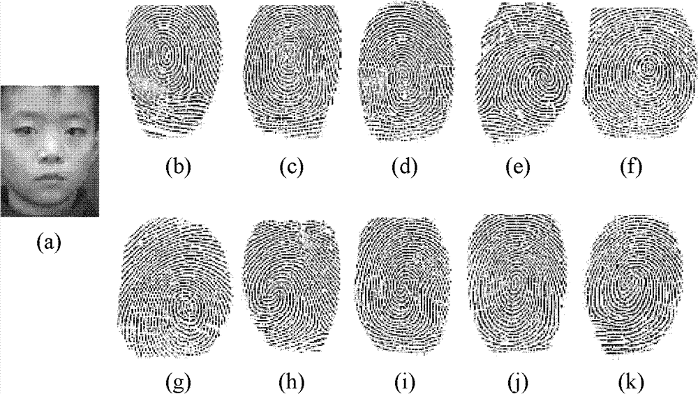Identity recognition method based on face-fingerprint cooperation