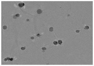 Preparation method and application of Au-Hg-rGO nano composite material