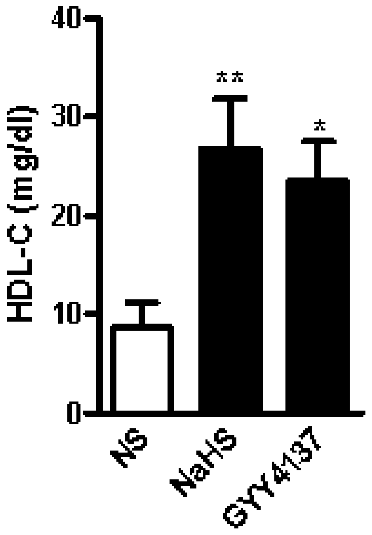Application of promoting HDL synthesis in mice based on LCAT protein hydrosulfide modification