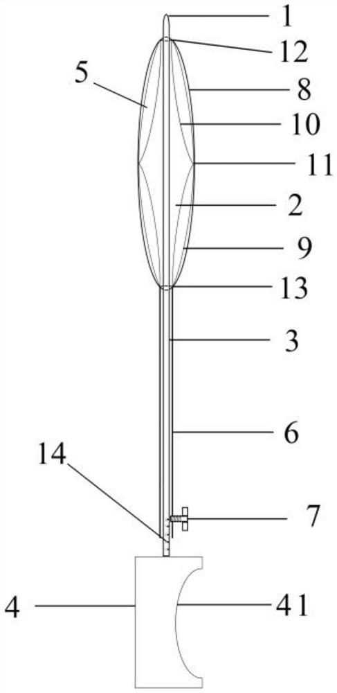 Anterior cruciate ligament stump expander