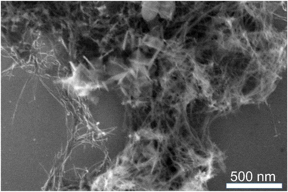 Method for preparing nano-calcium carbonate whisker/hexagonal boron nitride nanocomposite material