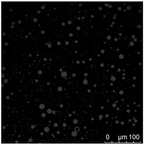 Oil-in-water type emulsion based on esterified soybean polysaccharide and preparation method of emulsion