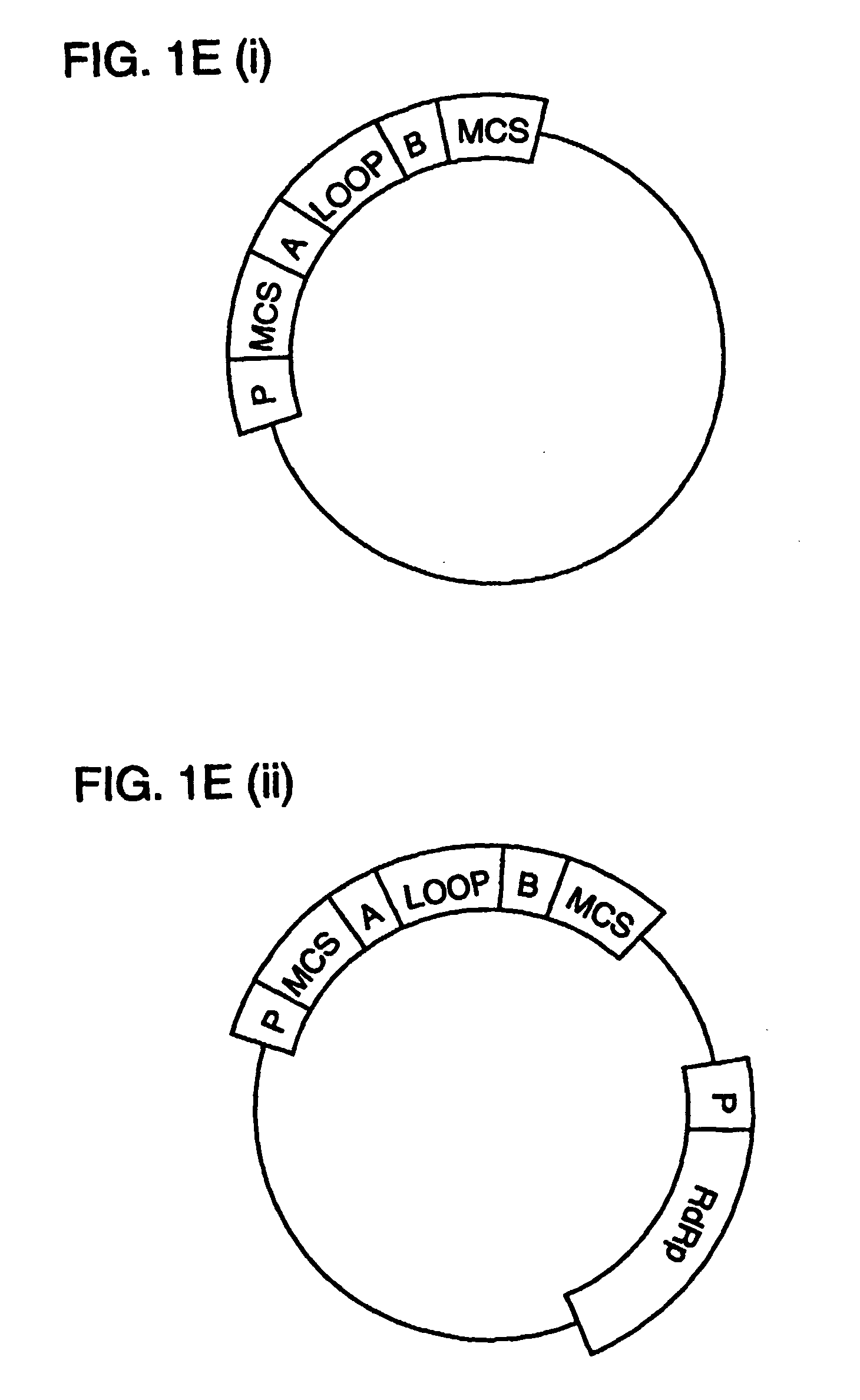 Double stranded rna structures and constructs, and methods for generating and using the same