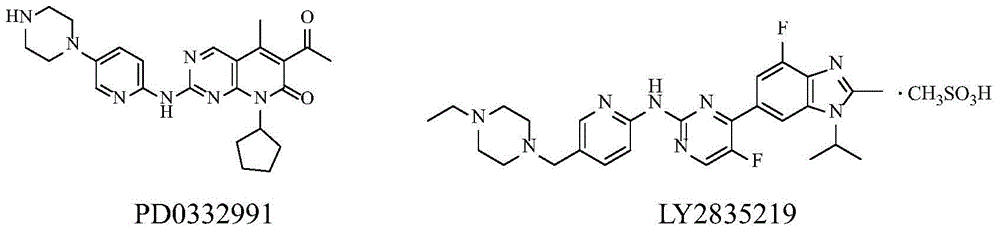 cdk kinase inhibitor