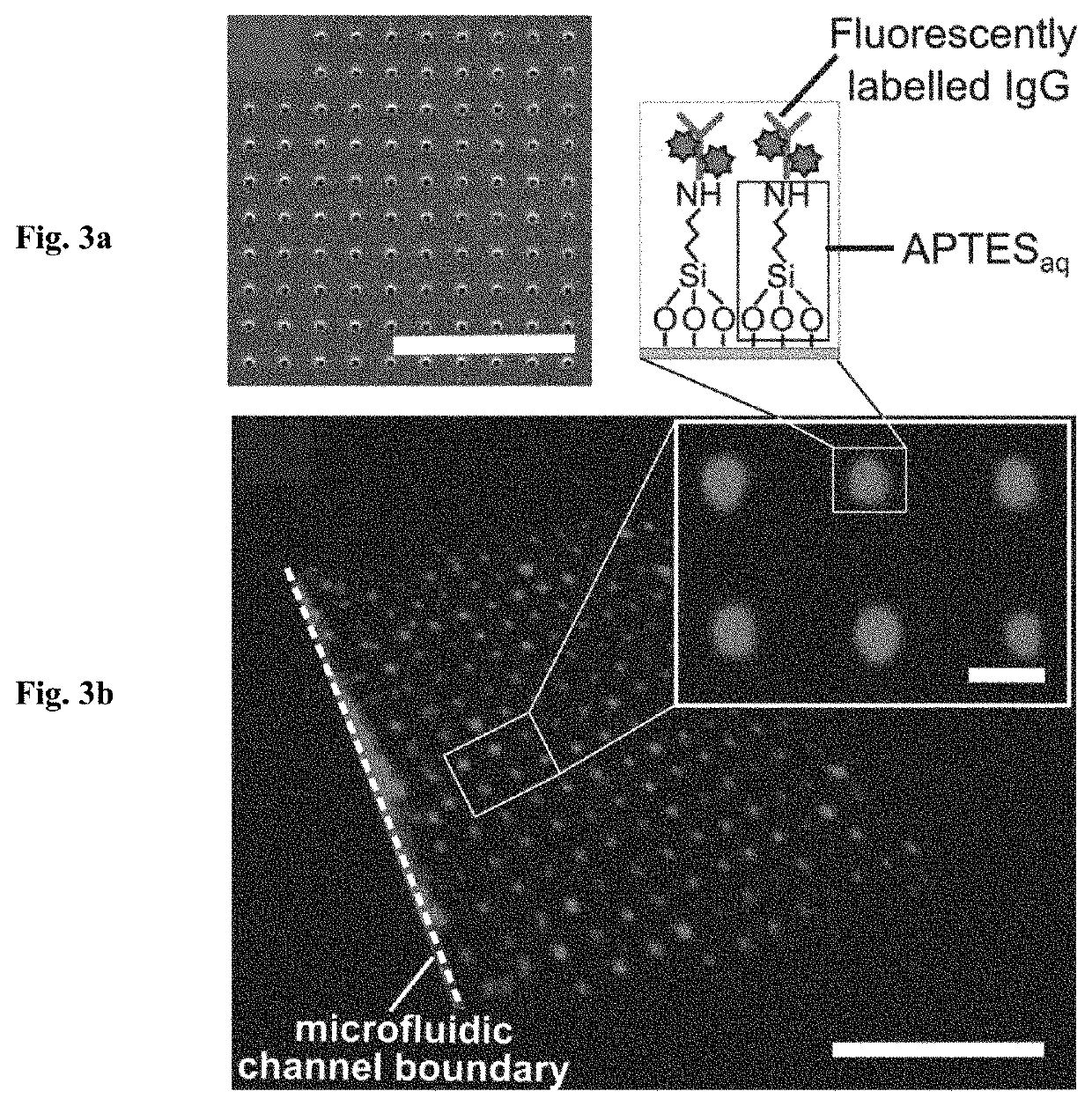 Micro- and nanocontact printing with aminosilanes: patterning surfaces of microfluidic devices for multi- plexed bioassays