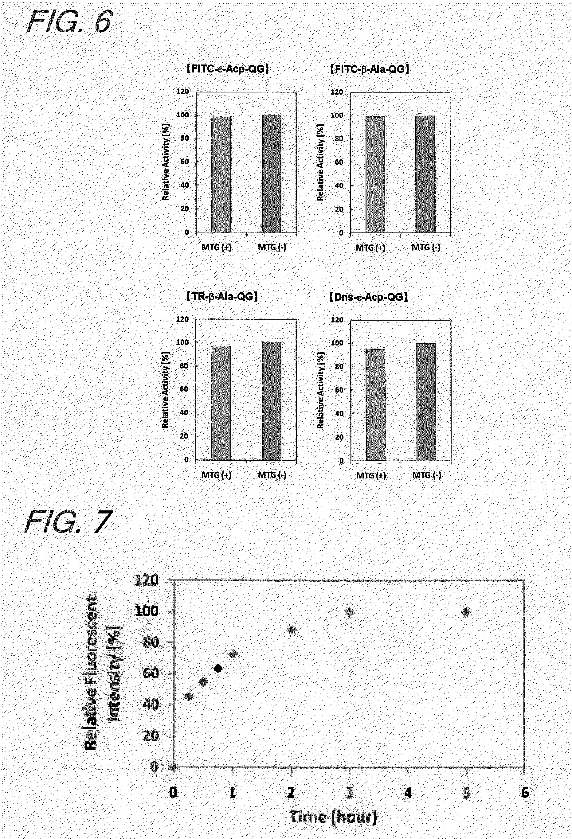 Enzyme substrate for labeling of protein