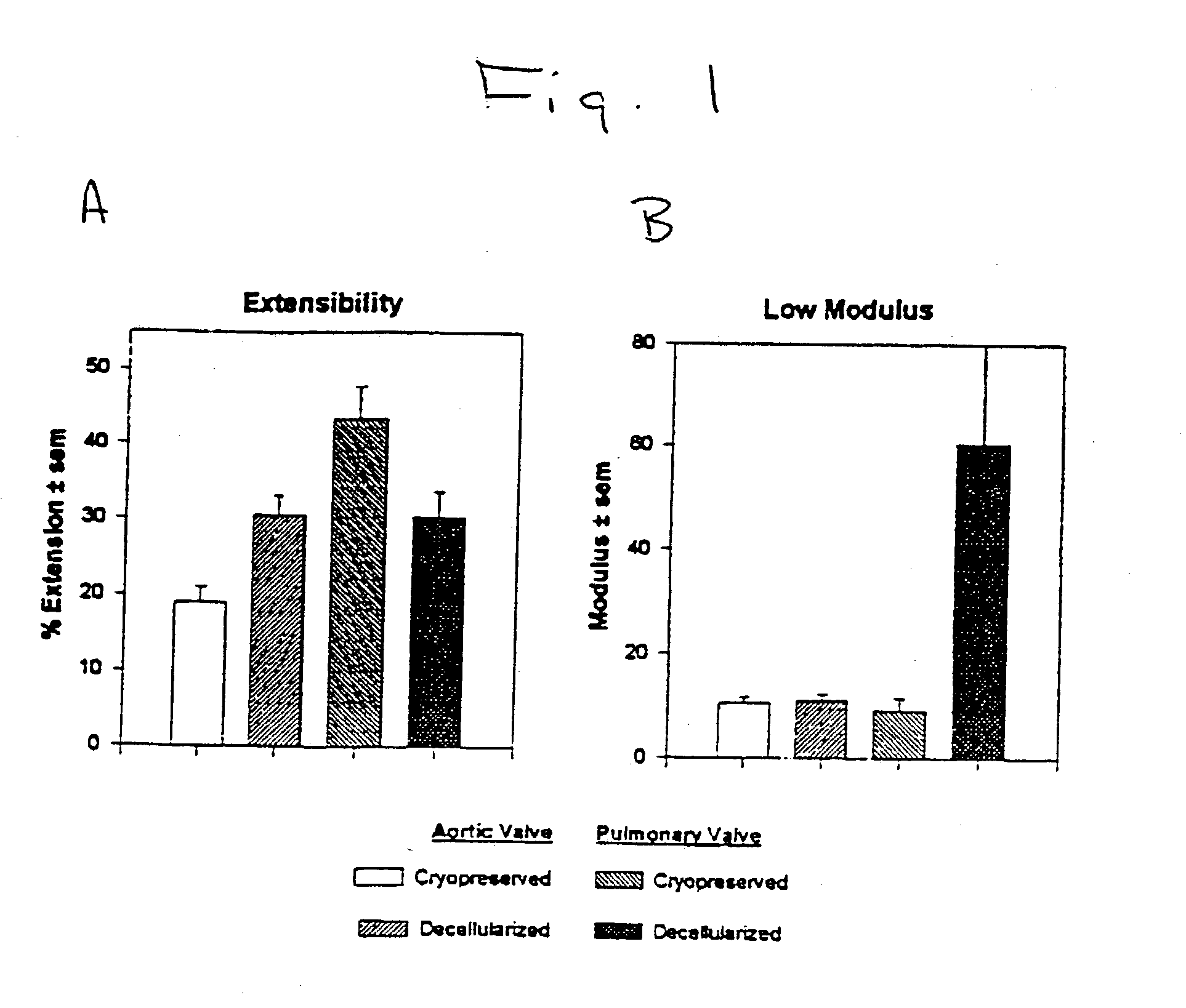 Tissue decellularization